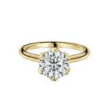 Round Cut Diamond Engagement Ring