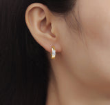 Diamond Hoop Earrings – 1.8 CTW