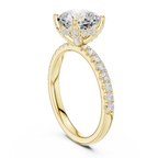 2.57CT Cushion Cut Moissanite Diamond Engagement Ring