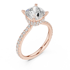 Cushion Cut Moissanite 3.76 CTW Double Hidden Halo Engagement Diamond Ring with 14K White Gold