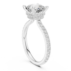 Cushion Cut Moissanite 3.76 CTW Double Hidden Halo Engagement Diamond Ring with 14K White Gold