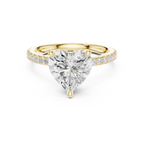 Heart Cut Moissanite 3.76 CTW Double Hidden Halo Engagement Diamond Ring with 14K White Gold