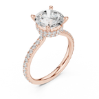 Round Cut Moissanite 3.76 CTW Double Hidden Halo Engagement Diamond Ring with 14K White Gold