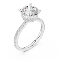 Round Cut Moissanite 3.76 CTW Double Hidden Halo Engagement Diamond Ring with 14K White Gold