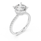 Round Cut Moissanite 3.76 CTW Double Hidden Halo Engagement Diamond Ring with 14K White Gold