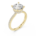 Round Cut Moissanite 3.76 CTW Double Hidden Halo Engagement Diamond Ring with 14K White Gold
