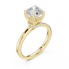 Cushion Cut Engagement Ring with Hidden Halo in 14K White Gold