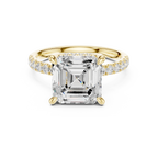 10K White Gold 4.58 CTW Asscher Moissanite Double Hidden Halo Cathedral Engagement Diamond Ring