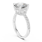 10K White Gold 4.58 CTW Cushion Moissanite Double Hidden Halo Cathedral Engagement Diamond Ring