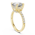 10K White Gold 4.58 CTW Cushion Moissanite Double Hidden Halo Cathedral Engagement Diamond Ring