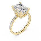 10K White Gold 4.58 CTW Emerald Moissanite Double Hidden Halo Cathedral Engagement Diamond Ring