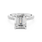 10K White Gold 4.58 CTW Emerald Moissanite Double Hidden Halo Cathedral Engagement Diamond Ring