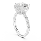 10K White Gold 4.58 CTW Heart Moissanite Double Hidden Halo Cathedral Engagement Diamond Ring