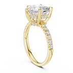 10K White Gold 4.58 CTW Heart Moissanite Double Hidden Halo Cathedral Engagement Diamond Ring