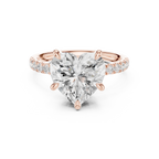 10K White Gold 4.58 CTW Heart Moissanite Double Hidden Halo Cathedral Engagement Diamond Ring