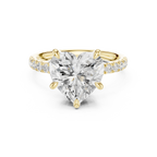 10K White Gold 4.58 CTW Heart Moissanite Double Hidden Halo Cathedral Engagement Diamond Ring