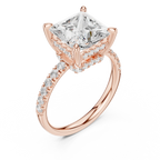10K White Gold 4.58 CTW Princess Moissanite Double Hidden Halo Cathedral Engagement Diamond Ring