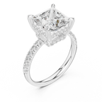 10K White Gold 4.58 CTW Princess Moissanite Double Hidden Halo Cathedral Engagement Diamond Ring