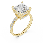 10K White Gold 4.58 CTW Princess Moissanite Double Hidden Halo Cathedral Engagement Diamond Ring