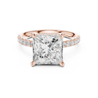 10K White Gold 4.58 CTW Princess Moissanite Double Hidden Halo Cathedral Engagement Diamond Ring