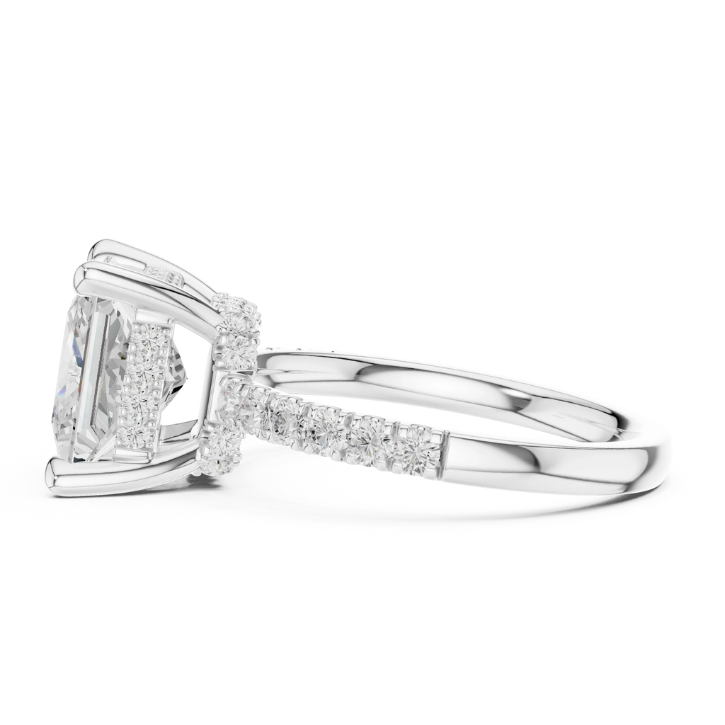 10K White Gold 4.58 CTW Princess Moissanite Double Hidden Halo Cathedral Engagement Diamond Ring