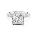 10K White Gold 4.58 CTW Princess Moissanite Double Hidden Halo Cathedral Engagement Diamond Ring
