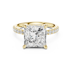 10K White Gold 4.58 CTW Princess Moissanite Double Hidden Halo Cathedral Engagement Diamond Ring