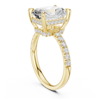 10K White Gold 4.58 CTW Radiant Moissanite Double Hidden Halo Cathedral Engagement Diamond Ring
