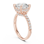 10K White Gold 4.58 CTW Round Moissanite Double Hidden Halo Cathedral Engagement Diamond Ring