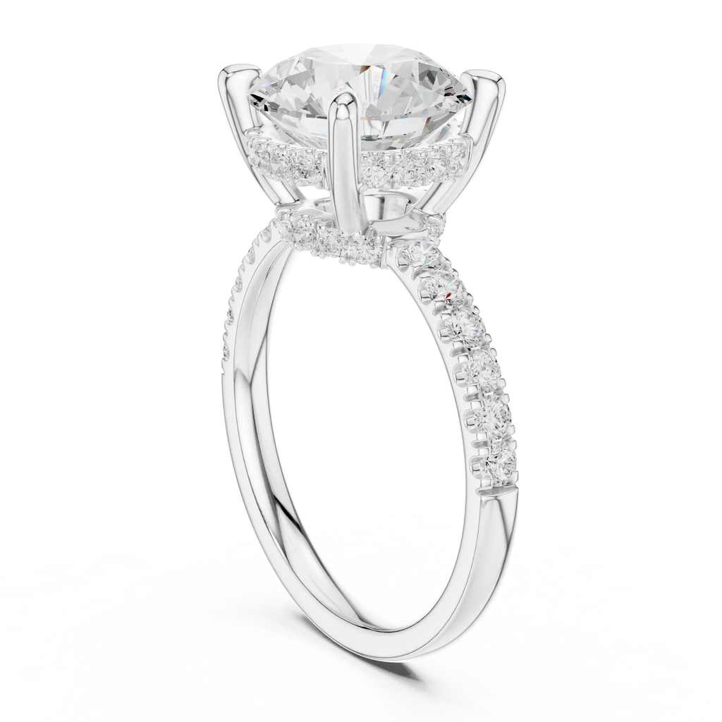10K White Gold 4.58 CTW Round Moissanite Double Hidden Halo Cathedral Engagement Diamond Ring