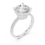 10K White Gold 4.58 CTW Round Moissanite Double Hidden Halo Cathedral Engagement Diamond Ring