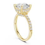 10K White Gold 4.58 CTW Round Moissanite Double Hidden Halo Cathedral Engagement Diamond Ring