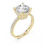 10K White Gold 4.58 CTW Round Moissanite Double Hidden Halo Cathedral Engagement Diamond Ring