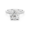 10K White Gold 4.58 CTW Round Moissanite Double Hidden Halo Cathedral Engagement Diamond Ring