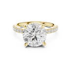 10K White Gold 4.58 CTW Round Moissanite Double Hidden Halo Cathedral Engagement Diamond Ring