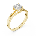 14K Yellow Gold Emerald-Square Diamond Engagement Ring