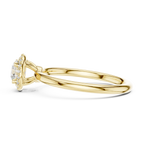 Round Cut D Color Engagement Ring