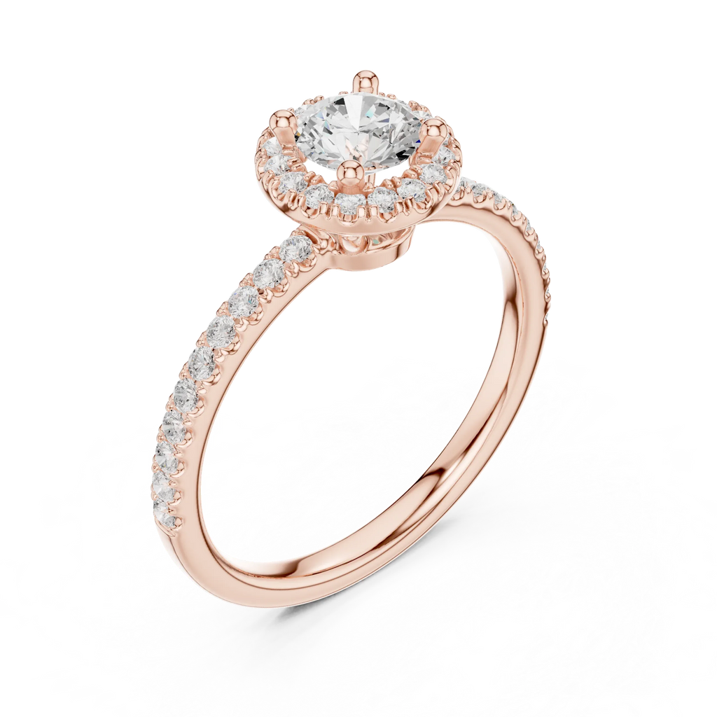 Round Moissanite E Colorless Halo Engagement Ring