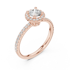 Round Moissanite E Colorless Halo Engagement Ring