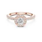 Round Moissanite E Colorless Halo Engagement Ring