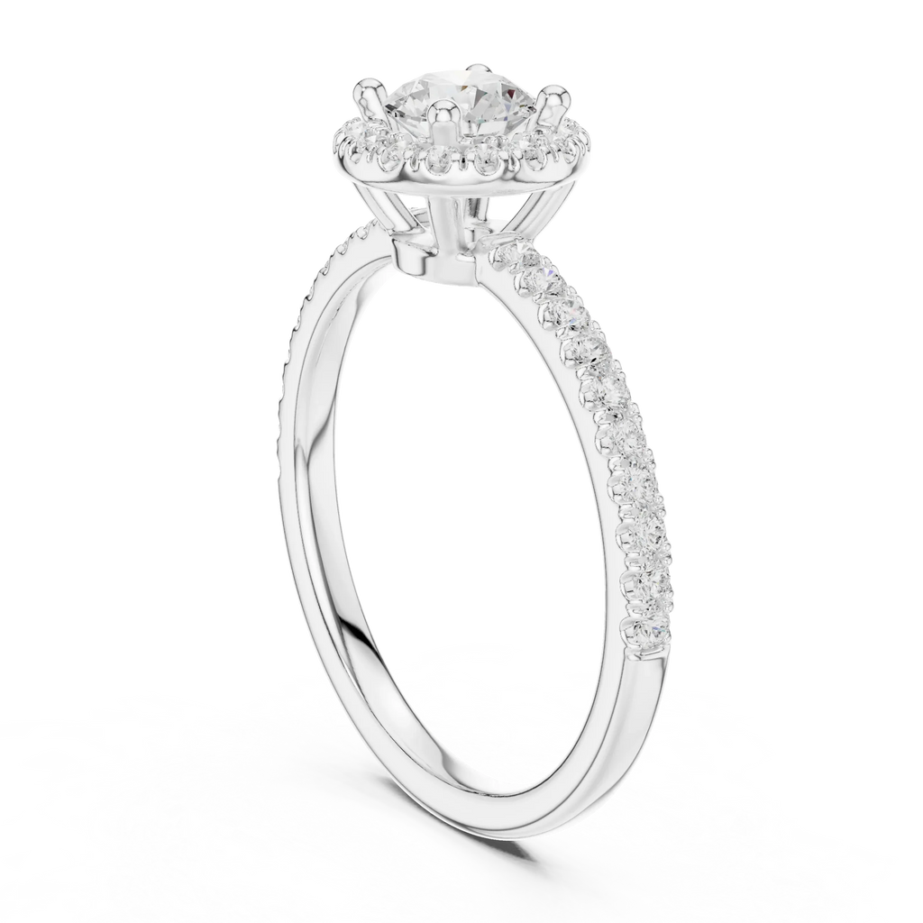 Round Moissanite E Colorless Halo Engagement Ring