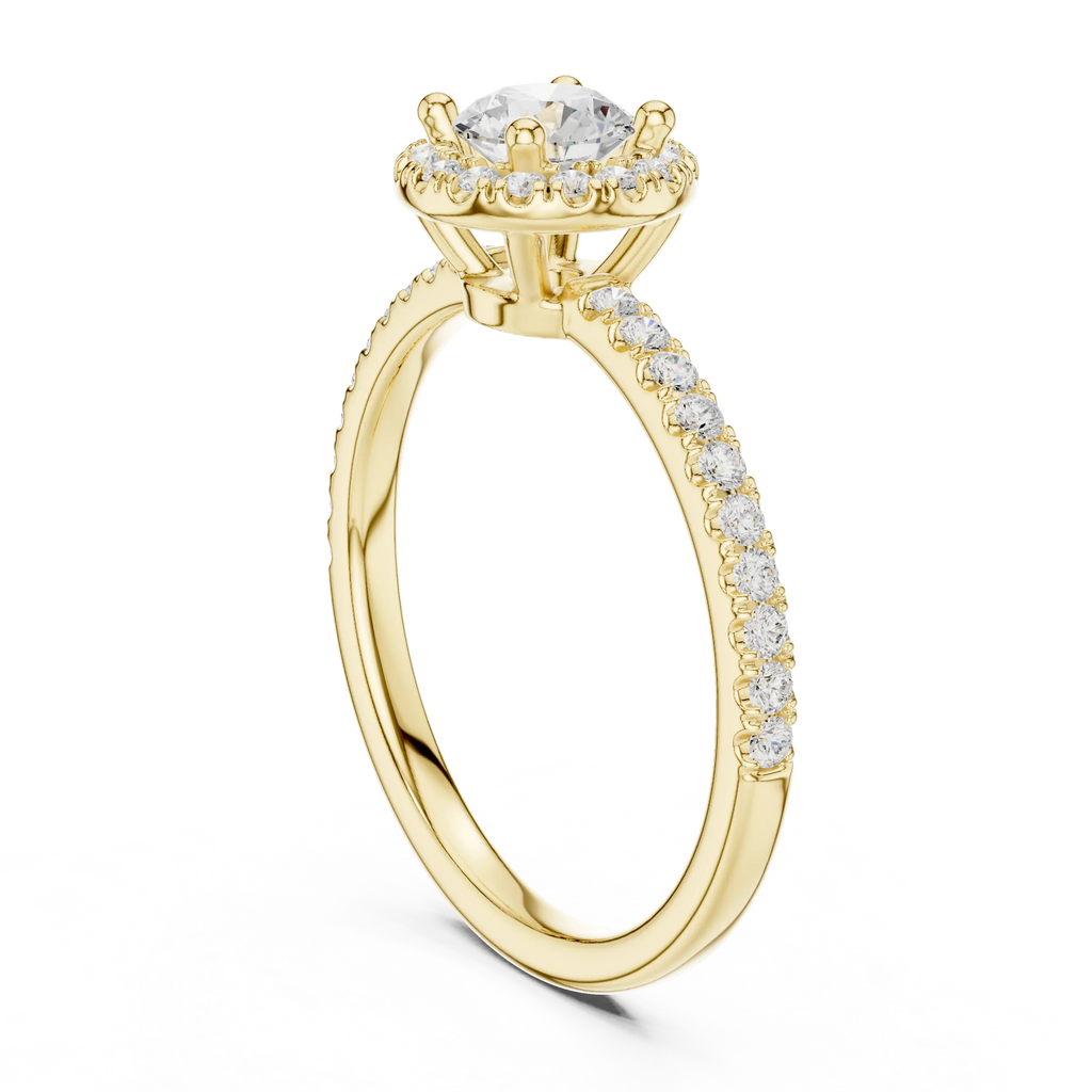 Round Moissanite E Colorless Halo Engagement Ring