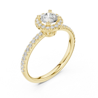 Round Moissanite E Colorless Halo Engagement Ring