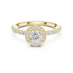 Round Moissanite E Colorless Halo Engagement Ring