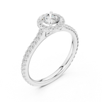 Massive Round Cut Moissanite Double Halo Statement Ring