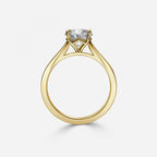 Round Cut Diamond Engagement Ring
