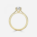 Round Cut Engagement Ring