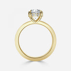 Round Cut Engagement Ring