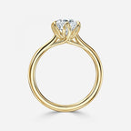 Round Cut Diamond Engagement Ring