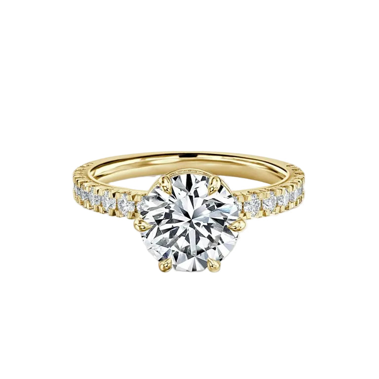 Round Cut Hidden Halo Engagement Ring